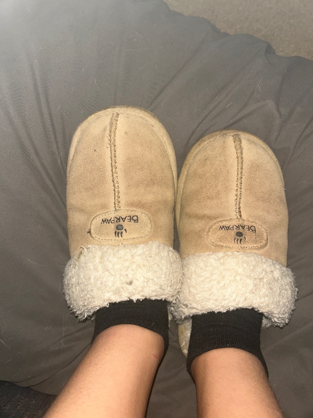 Bear paw slipper shoes